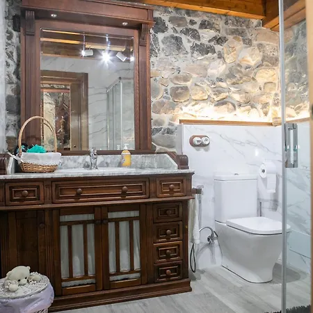 Salices Pola de Laviana