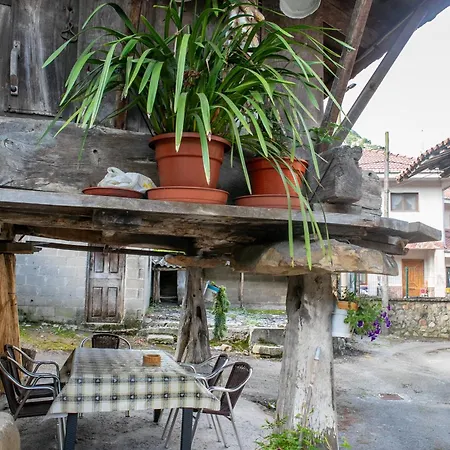 Casa Rural Salices * Pola de Laviana